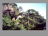 初中美术3-校园风景-课件ppt课件
