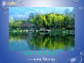 初中美術(shù)6-色彩的表現(xiàn)-課件-(3)ppt課件