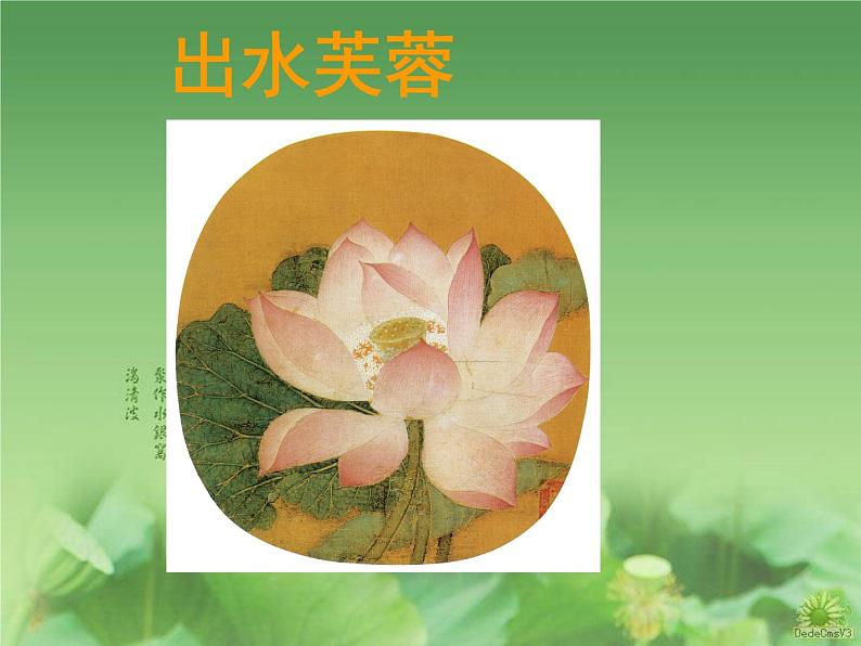 初中美术6.出水芙蓉-课件ppt课件03