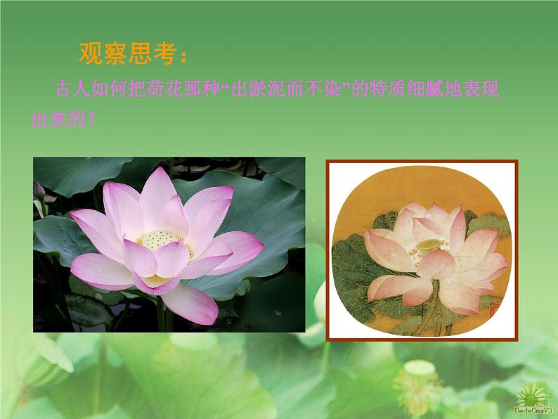 初中美术6.出水芙蓉-课件ppt课件07