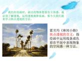 初中美術(shù)5.手繪校園風(fēng)景-課件(1)ppt課件