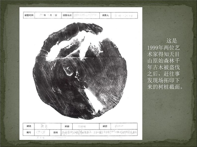 初中美术9.让世界更美好-课件-(6)ppt课件03