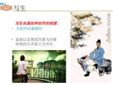 设计纹样PPT课件免费下载