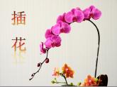 初中美術(shù)第1課-插花-課件ppt課件