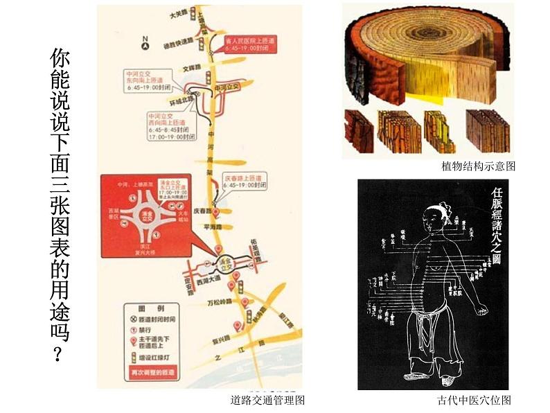 初中美术手绘图表方案二ppt课件04