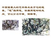 七年级美术（浙美版）上册教学课件：7、鸟语花香 （共10张PPT）
