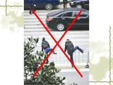 浙美版美术七年级下册3.标志设计 课件 教案 (3) (1)