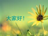 浙美版美术八年级上册第6课 静物之美 课件 教案 (2)