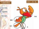 浙教版美術(shù)八年級上冊第4課動漫天地——動物的擬人化手法課件