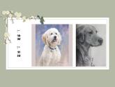 浙美版八下 2.鉛筆淡彩 課件（24張）
