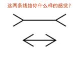 浙教版美術(shù)八下第3課奇特的視覺圖形（錯覺）教學(xué)課件（共23張PPT）