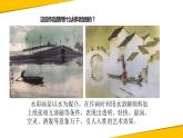 浙美版八下 3.水彩画小品创作 课件（12张）
