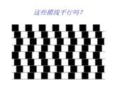 浙美版八下第3課奇特的視覺圖形（第四課時錯覺）課件（共19張PPT）