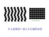 浙美版八下第3課奇特的視覺圖形（第四課時錯覺）課件（共19張PPT）