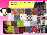 浙美版美術(shù)八下第2課青春風(fēng)采（大花和小花）教學(xué)課件（共15張PPT）
