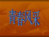 浙美版美術(shù)八下第2課青春風(fēng)采—服裝設(shè)計(jì)課件（共18張PPT）