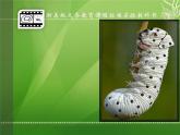 浙美版美術(shù)八下第3課奇特的視覺圖形（正形和負(fù)形）課件（共27張PPT）