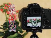 浙美版美術(shù)九年級(jí)下冊8.發(fā)現(xiàn)不一樣的美 課件 教案
