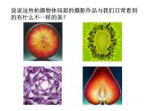 浙美版美術(shù)九年級(jí)下冊8.發(fā)現(xiàn)不一樣的美 課件 教案