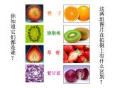 浙美版美術(shù)九年級(jí)下冊8.發(fā)現(xiàn)不一樣的美 課件 教案