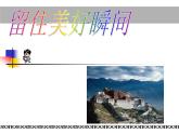 留住美好瞬間PPT課件免費(fèi)下載