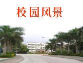 岭南版美术七年级上册3校园风景 课件 教案
