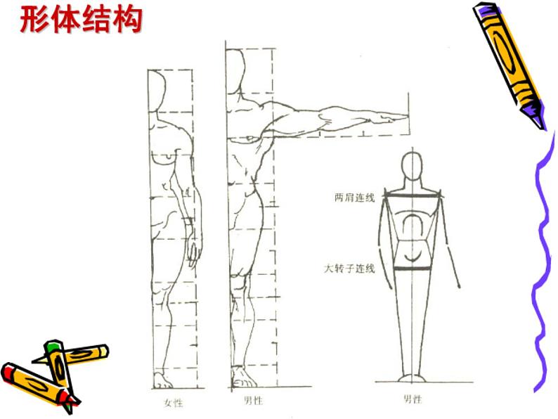 岭南社七年级上册 4.校园新伙伴 课件（27张幻灯片）05