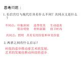 岭南版美术七年级上册2现代艺术与科技融合的魅力 课件 教案