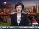 岭南版美术八年级上册2 艺术博览会与艺术品拍卖 课件