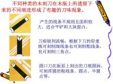 岭南版美术八年级下册8 个性鲜明的木刻人像 课件 (1)