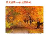 空间与层次PPT课件免费下载