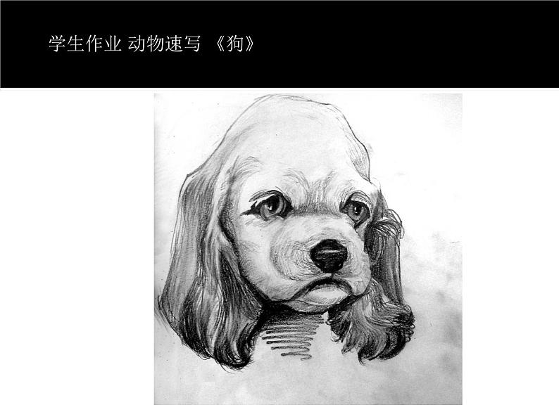 苏少版七年级美术上册 第4课 人类的朋友-资源套餐（教学设计 课件 素材） （11份打包）02