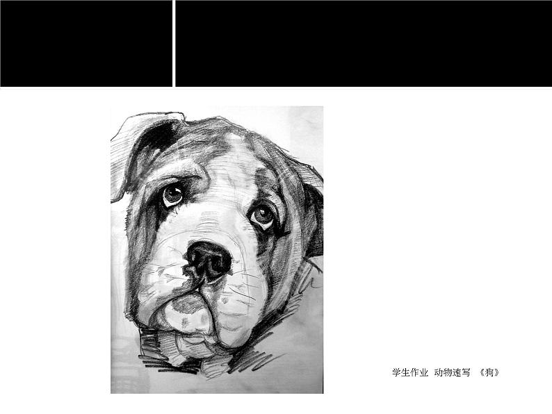 苏少版七年级美术上册 第4课 人类的朋友-资源套餐（教学设计 课件 素材） （11份打包）07
