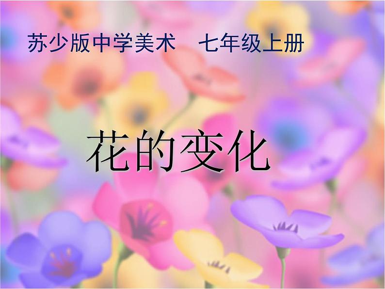 花的变化PPT课件免费下载06