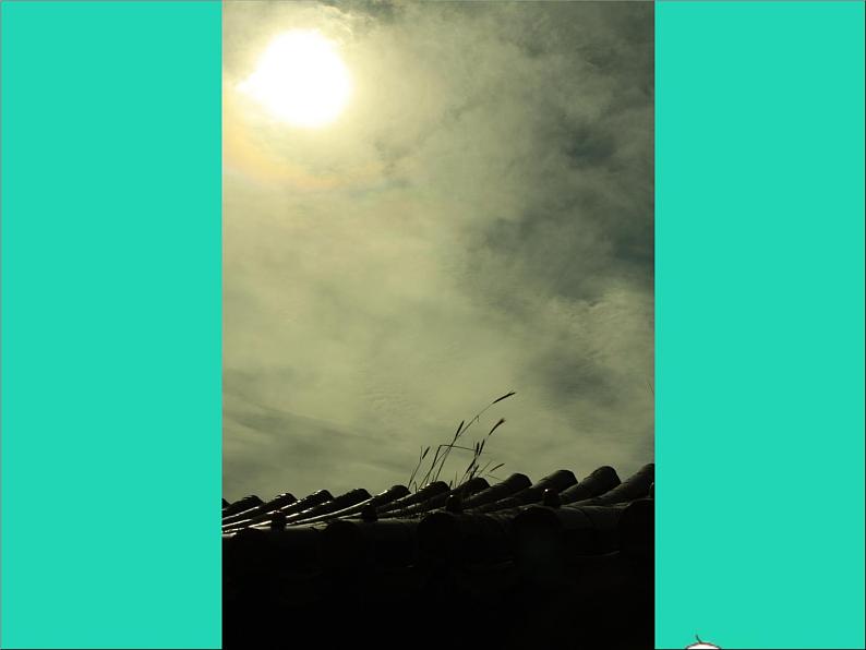 九年级美术下册5用影像表达精品课件冀美版20210526211第3页