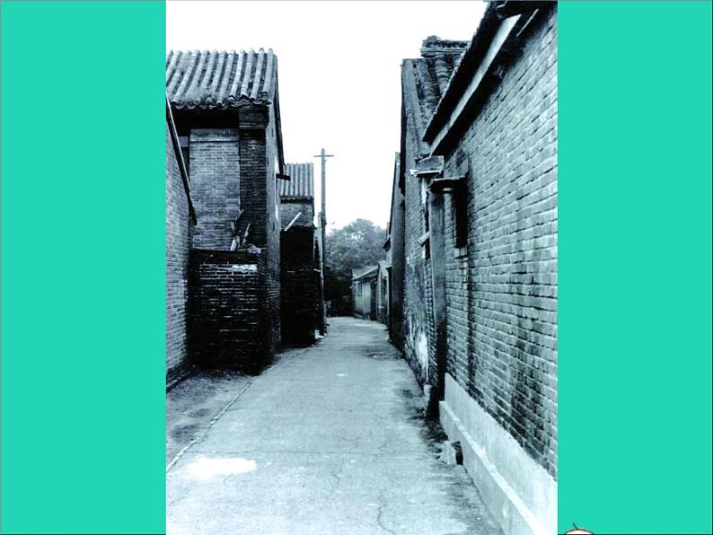 九年级美术下册5用影像表达精品课件冀美版20210526211第4页