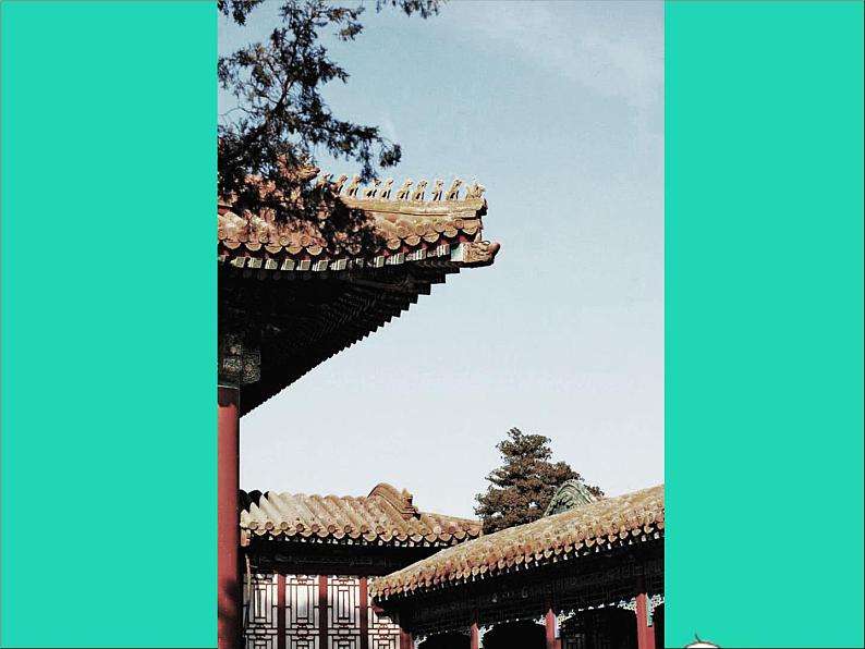 九年级美术下册5用影像表达精品课件冀美版20210526211第6页