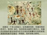 美術(shù)八年級(jí)上湘教版7遠(yuǎn)古的呼喚課件（25張）