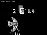 黑白世界PPT课件免费下载