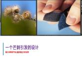 岭南版九年级美术下册：6.2《自然·设计》课件PPT