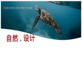 岭南版九年级美术下册：6.2《自然·设计》课件PPT