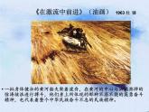 人教版美術(shù)八年級下冊第一單元 美術(shù)作品的深層意蘊(yùn) 第1課 情感的抒發(fā)與理念的表達(dá) 課件 教案