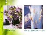 人教版美術(shù)八年級(jí)下冊第三單元 為生活增添情趣 第1課 插花 課件 教案 (4)