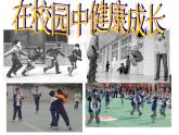 人教版美術(shù)七年級上冊第二單元 多彩的學(xué)校生活 第2課在校園中健康成長  課件 教案 (2)