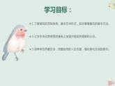 人教版八年級(jí)美術(shù)下冊  三單元1插花課件PPT
