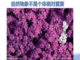 人教版八年級(jí)美術(shù)下冊(cè)  二單元2紋樣設(shè)計(jì)課件PPT