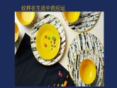 人教版初中美術(shù)八年級下冊第二單元 第2課  設(shè)計紋樣  課件