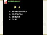 人教版初中美術(shù)八年級下冊第四單元 第1課  和諧溫馨的生活空間 課件