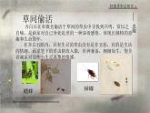 江苏少年儿童出版社初中美术八年级下册第2课  轻描重彩总相宜    课件