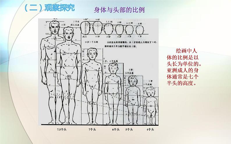 江苏少年儿童出版社初中美术七年级下册第3课  在临摹中感受    课件第7页